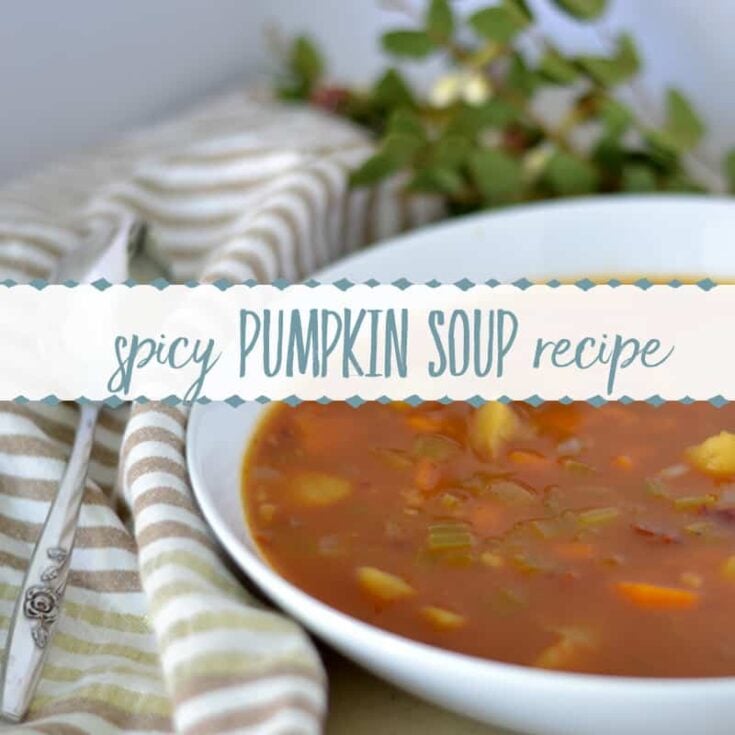 Image for Spicy Pumpkin Soup