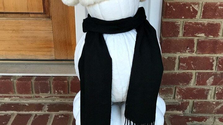 Image for How To Make A Pumpkin Snowman