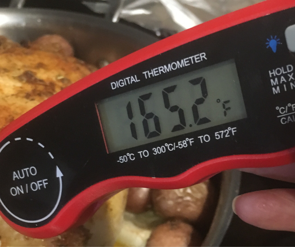 a meat thermometer registering 165 degrees