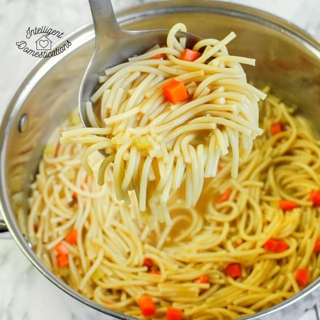 Homemade Chicken Noodle soup with double noodles
