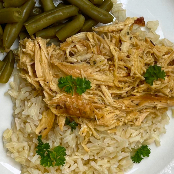 Easy Chicken and Gravy dinner recipe at intelligentdomestications.com