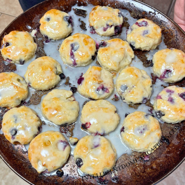 Sweet Glazed Blueberry Biscuits recipe at INTELLIGENTDOMESTICATIONS.COM